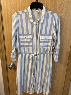 Passport Striped Midi Shirt Dress in Light Blue and White